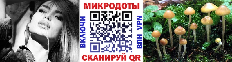 наркотики  Беломорск  Галлюциногенные грибы Magic Shrooms 